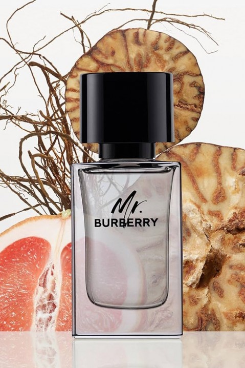 Parfem Burberry Mr. Burberry EDT 50 mlIVET.HR - MODERNA ODJEĆA