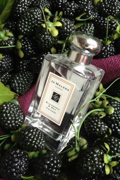 Parfem Jo Malone Blackberry & Bay EDC 100 mlIVET.HR - MODERNA ODJEĆA