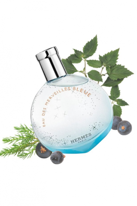 Parfem Hermes Eau Des Merveilles Bleue EDT 50 mlIVET.HR - MODERNA ODJEĆA