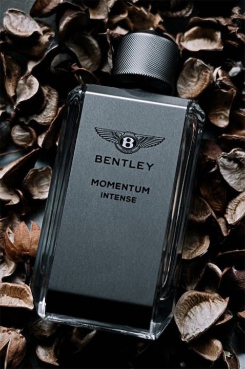 Parfem Bentley Momentum Intense EDP 100 mlIVET.HR - MODERNA ODJEĆA